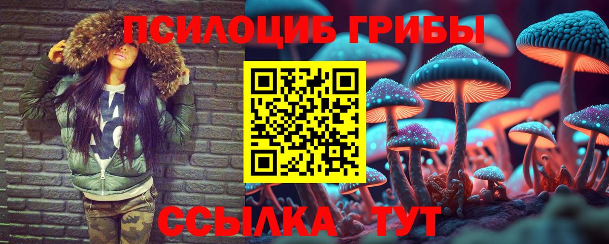 Галлюциногенные грибы GOLDEN TEACHER  Псилоцибиновые грибы Cubensis  Курганинск  Вход с VPN 