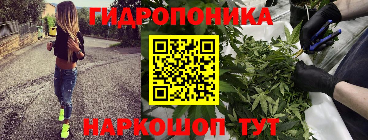 Конопля Ganja Курганинск